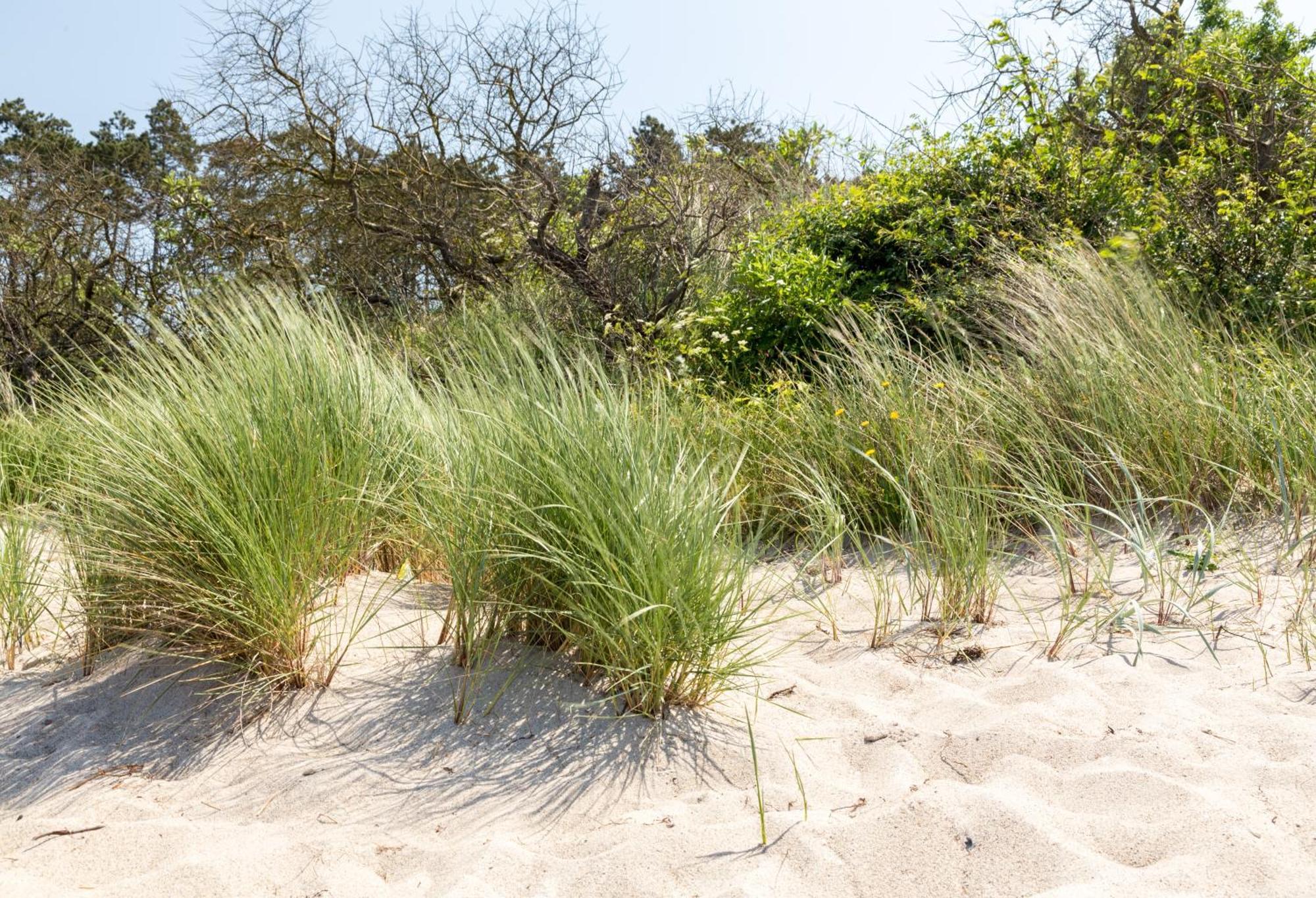 Villa Schmidt - Strandhaus Direkt Am Meer Mit Sauna, Sport Und Duenengarten II Росток Экстерьер фото